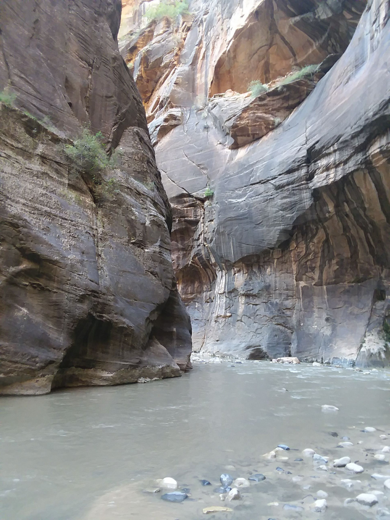 Illustration for article titled Zion National Park is what America is about.